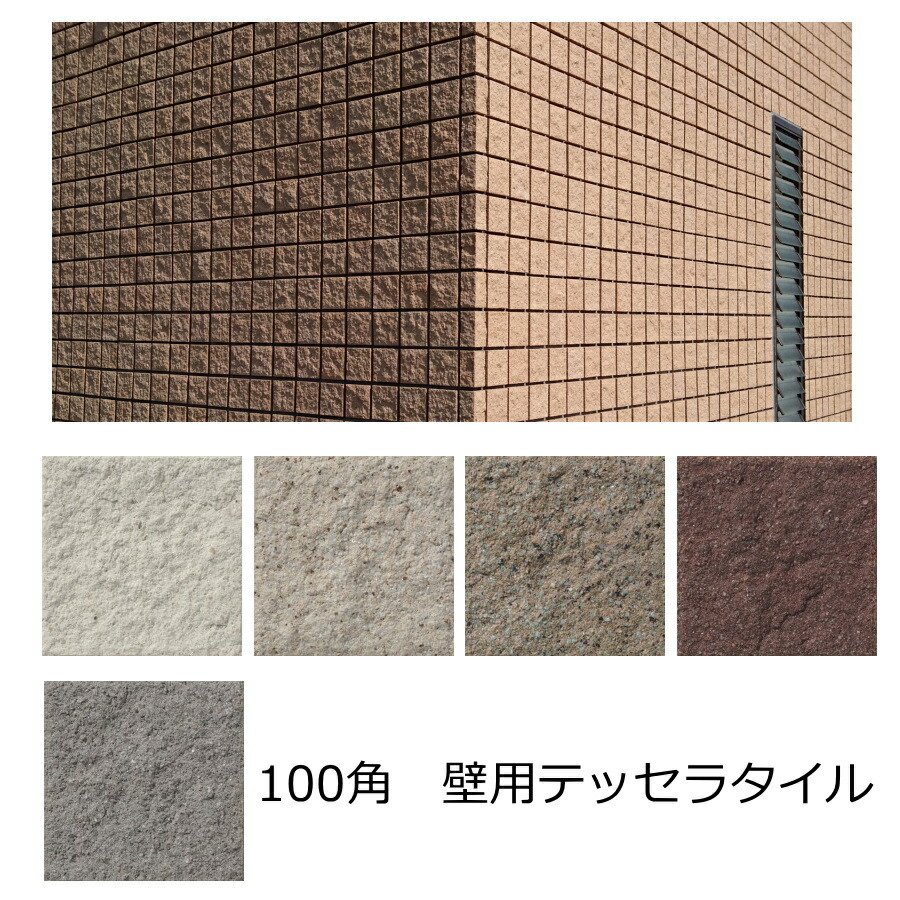 楽天市場】テッセラ タイル 100角 壁用 セッキ質 凸凹 荒々しい 外壁