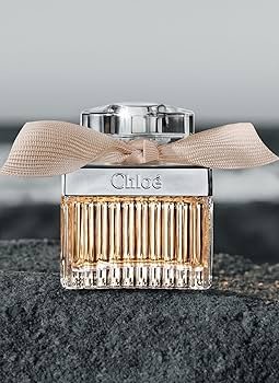 Amazon.com : Chloe New By Chloe For Women Eau De Parfum Spray 1.6