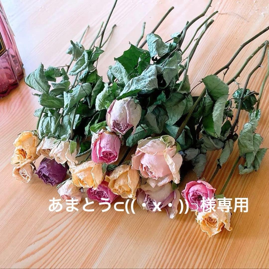 スタンダードバラ❇️ミックスカラー❣️ドライフラワー STバラフェスティボ - ドライフラワーショップ FlowerDeco